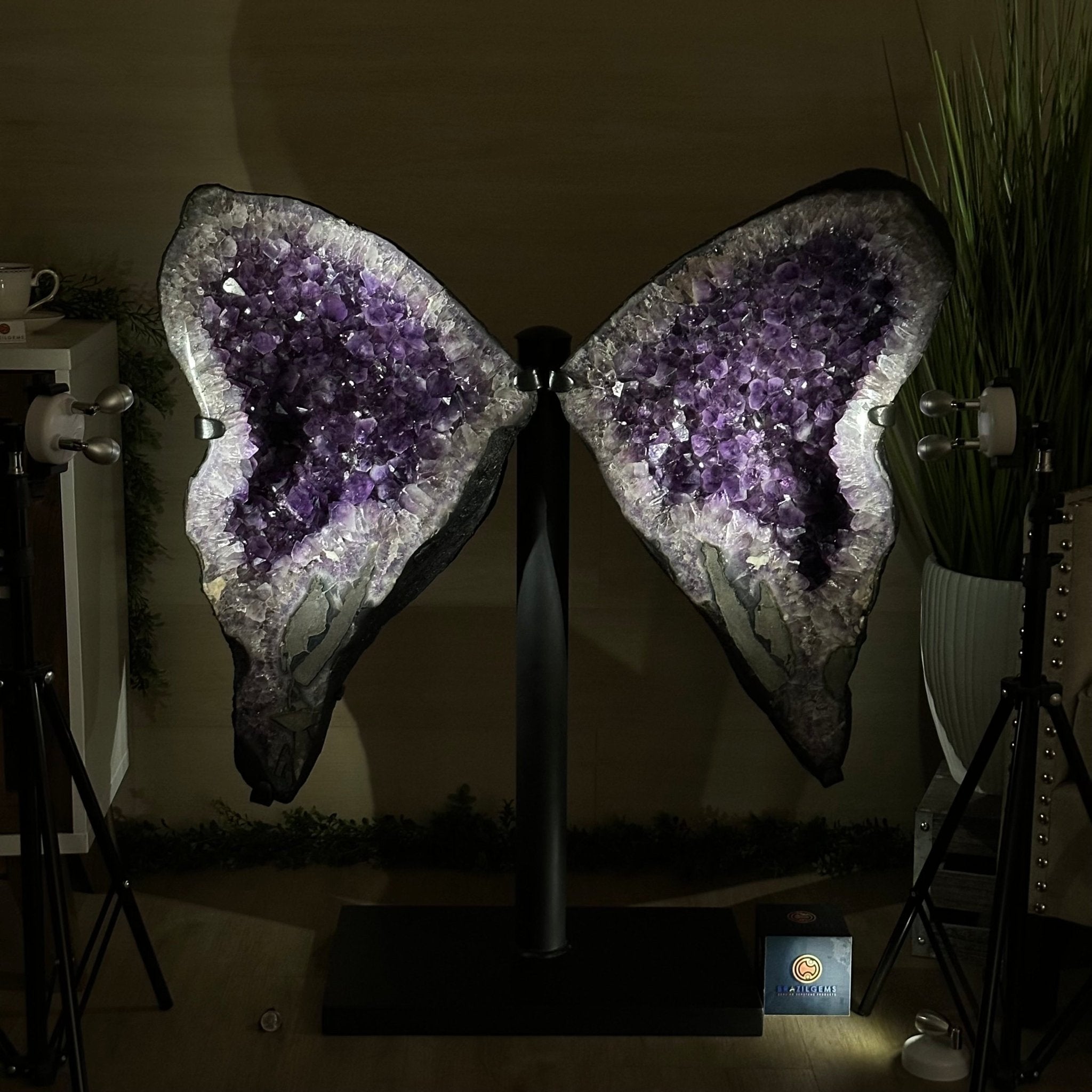 Amethyst Wings on a Metal Stand, 220.5 lbs, 39.75" Tall 5493 - 0051 - Brazil GemsBrazil GemsAmethyst Wings on a Metal Stand, 220.5 lbs, 39.75" Tall 5493 - 0051Amethyst Butterfly Wings5493 - 0051