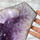 Amethyst Wings on a Metal Stand, 65.6 lbs & 25.6" Tall #5493 - 0049 - Brazil GemsBrazil GemsAmethyst Wings on a Metal Stand, 65.6 lbs & 25.6" Tall #5493 - 0049Amethyst Butterfly Wings5493 - 0049