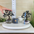 Black Tourmaline 7" Tall Handmade Gemstone Tree on a Crystal base, 60 Gems #5402BTOU - Brazil GemsBrazil GemsBlack Tourmaline 7" Tall Handmade Gemstone Tree on a Crystal base, 60 Gems #5402BTOUGemstone Trees5402BTOU