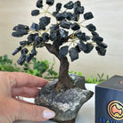 Black Tourmaline 7" Tall Handmade Gemstone Tree on a Crystal base, 60 Gems #5402BTOU - Brazil GemsBrazil GemsBlack Tourmaline 7" Tall Handmade Gemstone Tree on a Crystal base, 60 Gems #5402BTOUGemstone Trees5402BTOU