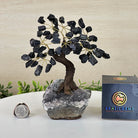 Black Tourmaline 7" Tall Handmade Gemstone Tree on a Crystal base, 60 Gems #5402BTOU - Brazil GemsBrazil GemsBlack Tourmaline 7" Tall Handmade Gemstone Tree on a Crystal base, 60 Gems #5402BTOUGemstone Trees5402BTOU