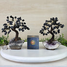 Black Tourmaline 7" Tall Handmade Gemstone Tree on a Crystal base, 60 Gems #5402BTOU - Brazil GemsBrazil GemsBlack Tourmaline 7" Tall Handmade Gemstone Tree on a Crystal base, 60 Gems #5402BTOUGemstone Trees5402BTOU