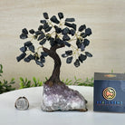 Black Tourmaline 7" Tall Handmade Gemstone Tree on a Crystal base, 60 Gems #5402BTOU - Brazil GemsBrazil GemsBlack Tourmaline 7" Tall Handmade Gemstone Tree on a Crystal base, 60 Gems #5402BTOUGemstone Trees5402BTOU