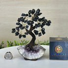 Black Tourmaline 7" Tall Handmade Gemstone Tree on a Crystal base, 60 Gems #5402BTOU - Brazil GemsBrazil GemsBlack Tourmaline 7" Tall Handmade Gemstone Tree on a Crystal base, 60 Gems #5402BTOUGemstone Trees5402BTOU