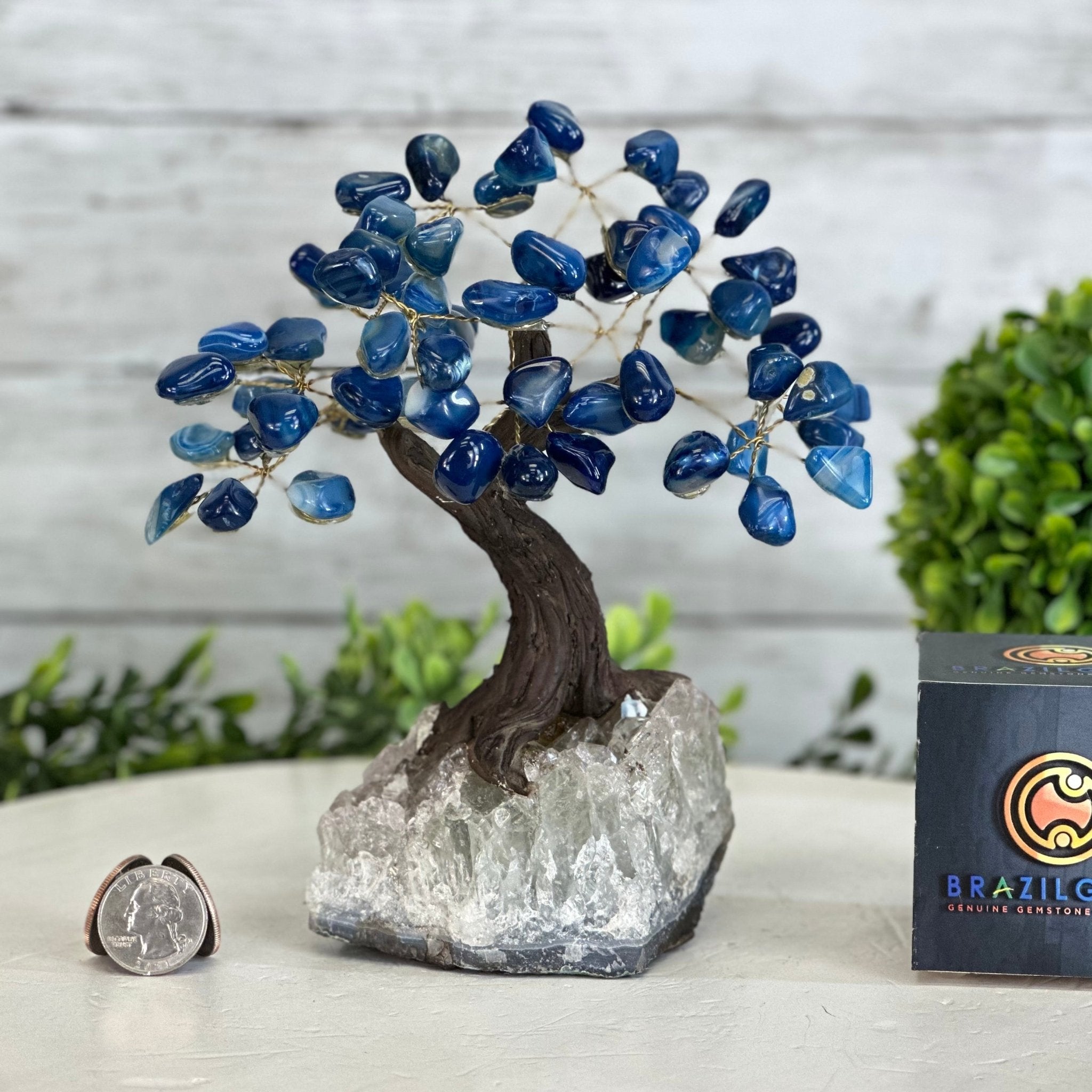 Blue Agate 7" Tall Handmade Gemstone Tree on a Crystal base, 60 Gems #5402BLUA - Brazil GemsBrazil GemsBlue Agate 7" Tall Handmade Gemstone Tree on a Crystal base, 60 Gems #5402BLUAGemstone Trees5402BLUA