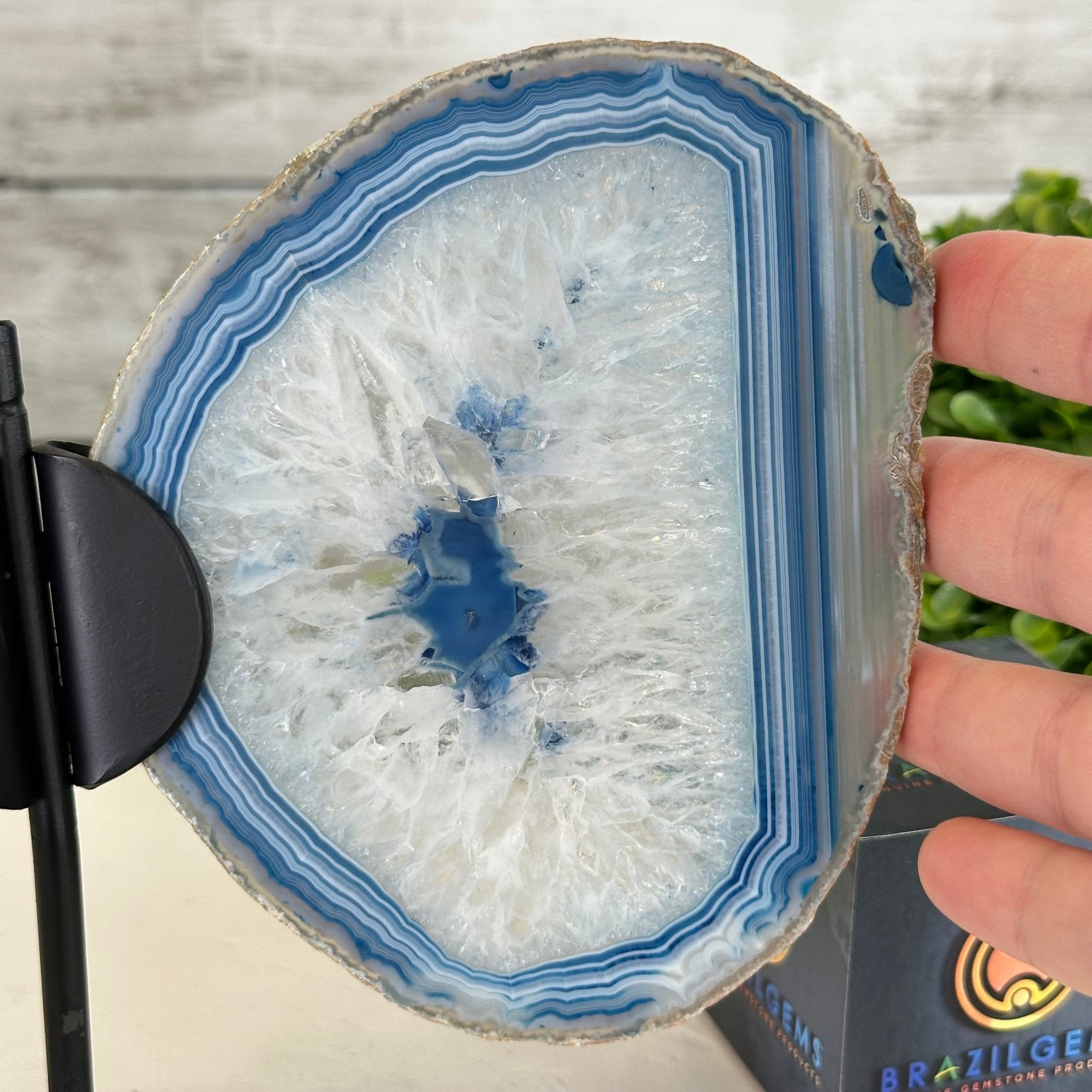 Blue Agate "Butterfly Wings" on stand, 7.2" Tall #5050BL-067 - Brazil GemsBrazil GemsBlue Agate "Butterfly Wings" on stand, 7.2" Tall #5050BL-067Agate Butterfly Wings5050BL-067