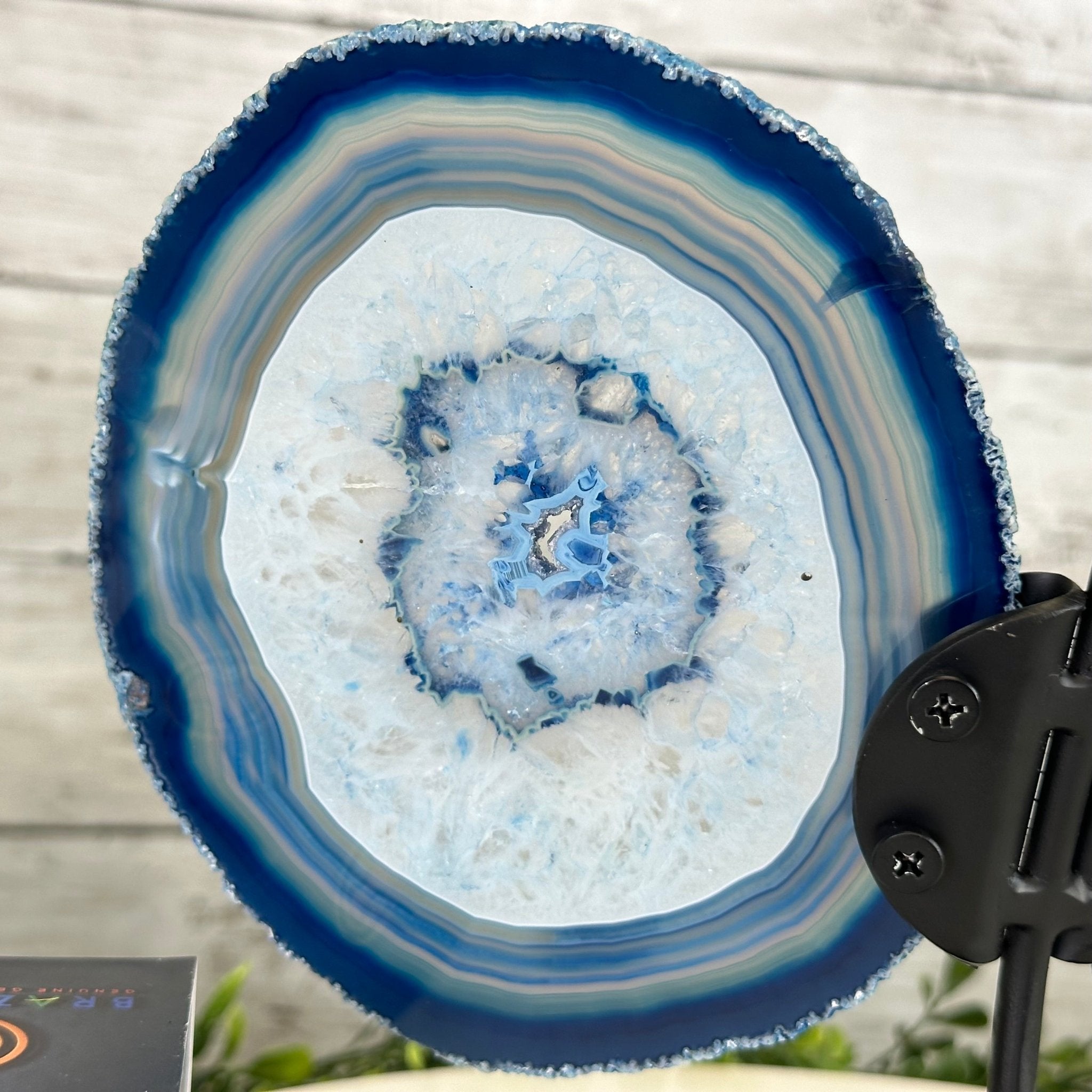 Blue Agate "Butterfly Wings" on stand, 7.5" Tall #5050BL-069 - Brazil GemsBrazil GemsBlue Agate "Butterfly Wings" on stand, 7.5" Tall #5050BL-069Agate Butterfly Wings5050BL-069
