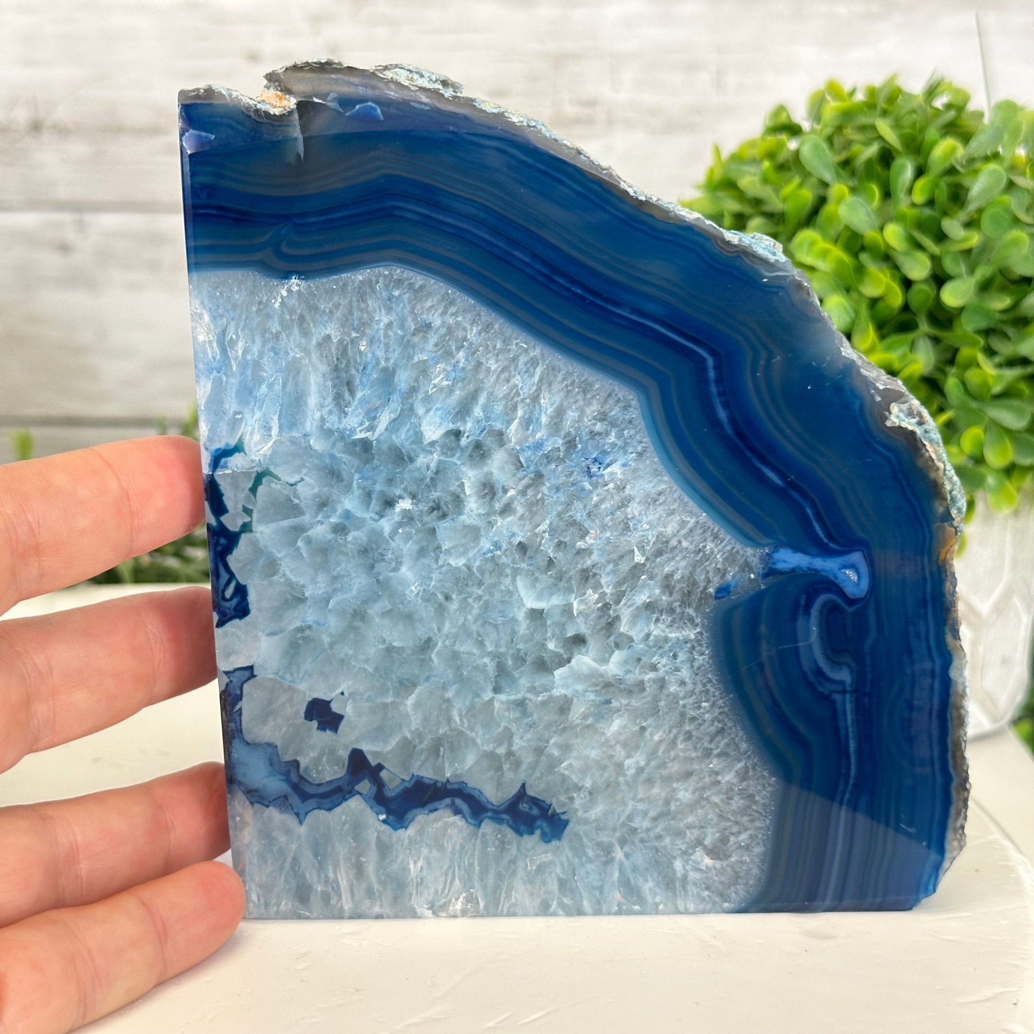 Blue Dyed Brazilian Agate Stone Bookends, 9.7 lbs & 5.5" tall #5151BL-035 - Brazil GemsBrazil GemsBlue Dyed Brazilian Agate Stone Bookends, 9.7 lbs & 5.5" tall #5151BL-035Bookends5151BL-035