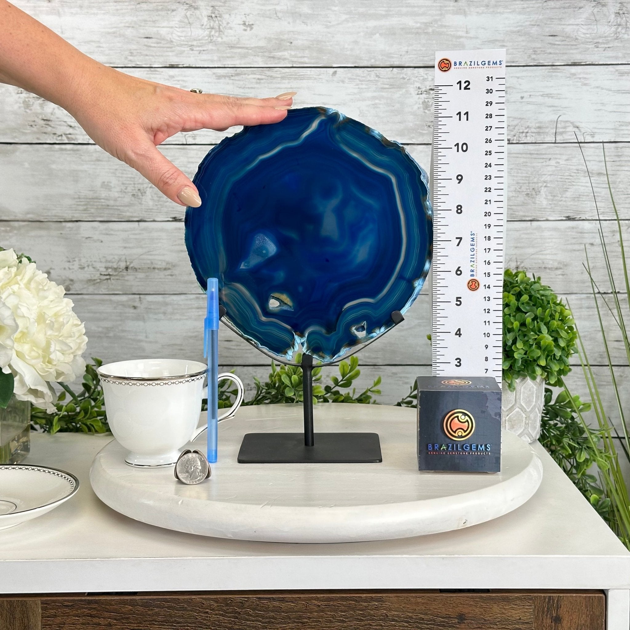 Brazilian Blue Agate Slice on a Metal Stand, 11.5" Tall #5055-0134 - Brazil GemsBrazil GemsBrazilian Blue Agate Slice on a Metal Stand, 11.5" Tall #5055-0134Slices on Fixed Bases5055-0134