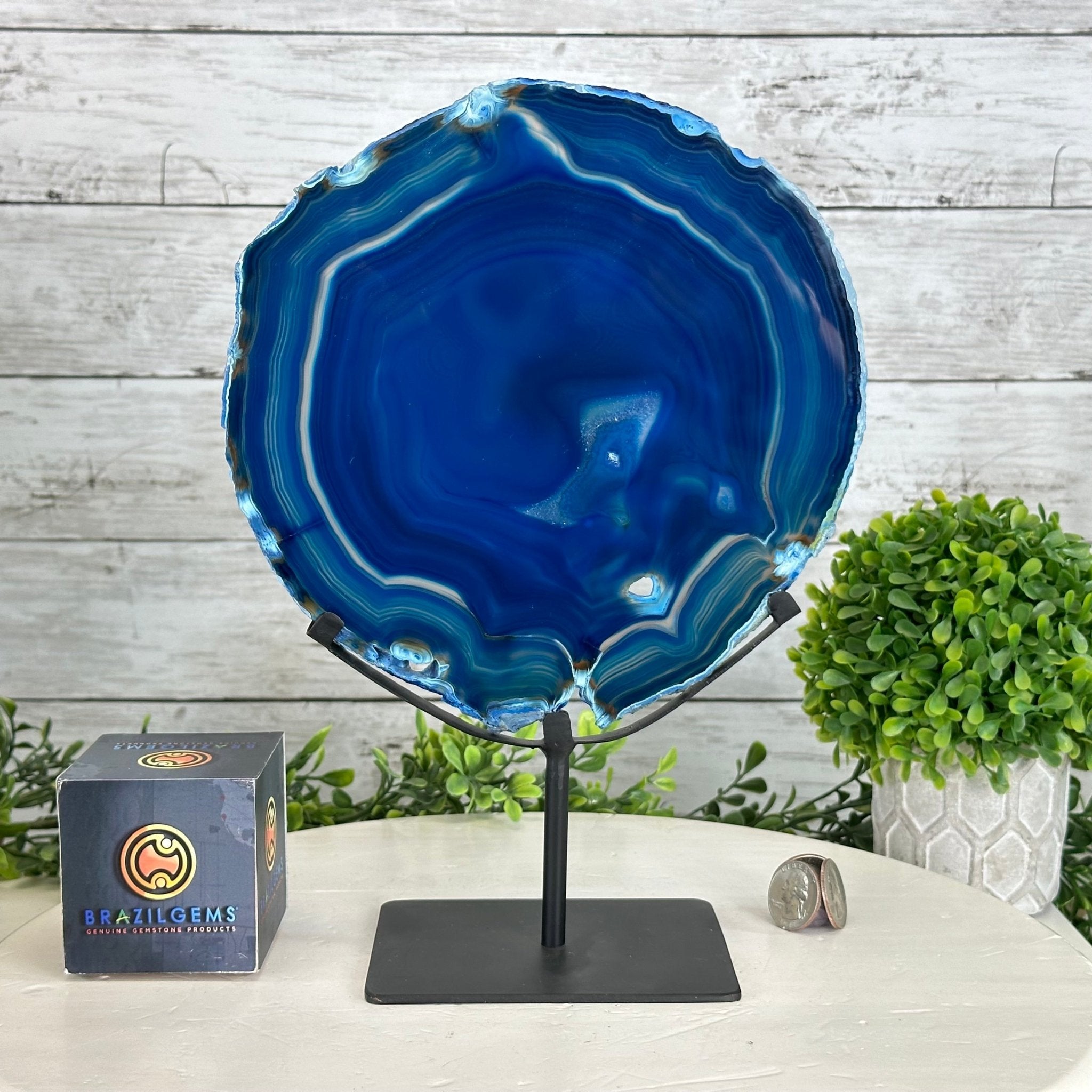 Brazilian Blue Agate Slice on a Metal Stand, 11.5" Tall #5055-0134 - Brazil GemsBrazil GemsBrazilian Blue Agate Slice on a Metal Stand, 11.5" Tall #5055-0134Slices on Fixed Bases5055-0134
