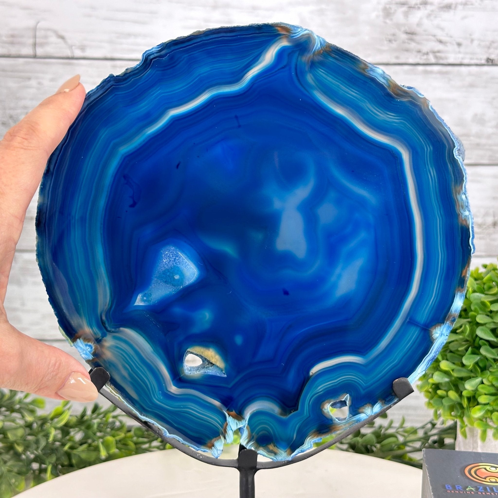Brazilian Blue Agate Slice on a Metal Stand, 11.5" Tall #5055-0134 - Brazil GemsBrazil GemsBrazilian Blue Agate Slice on a Metal Stand, 11.5" Tall #5055-0134Slices on Fixed Bases5055-0134