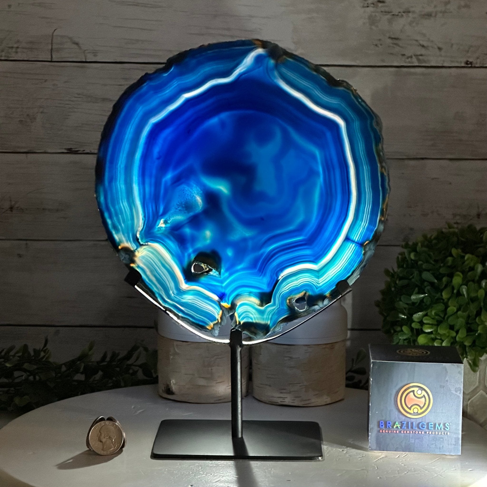 Brazilian Blue Agate Slice on a Metal Stand, 11.5" Tall #5055-0134 - Brazil GemsBrazil GemsBrazilian Blue Agate Slice on a Metal Stand, 11.5" Tall #5055-0134Slices on Fixed Bases5055-0134