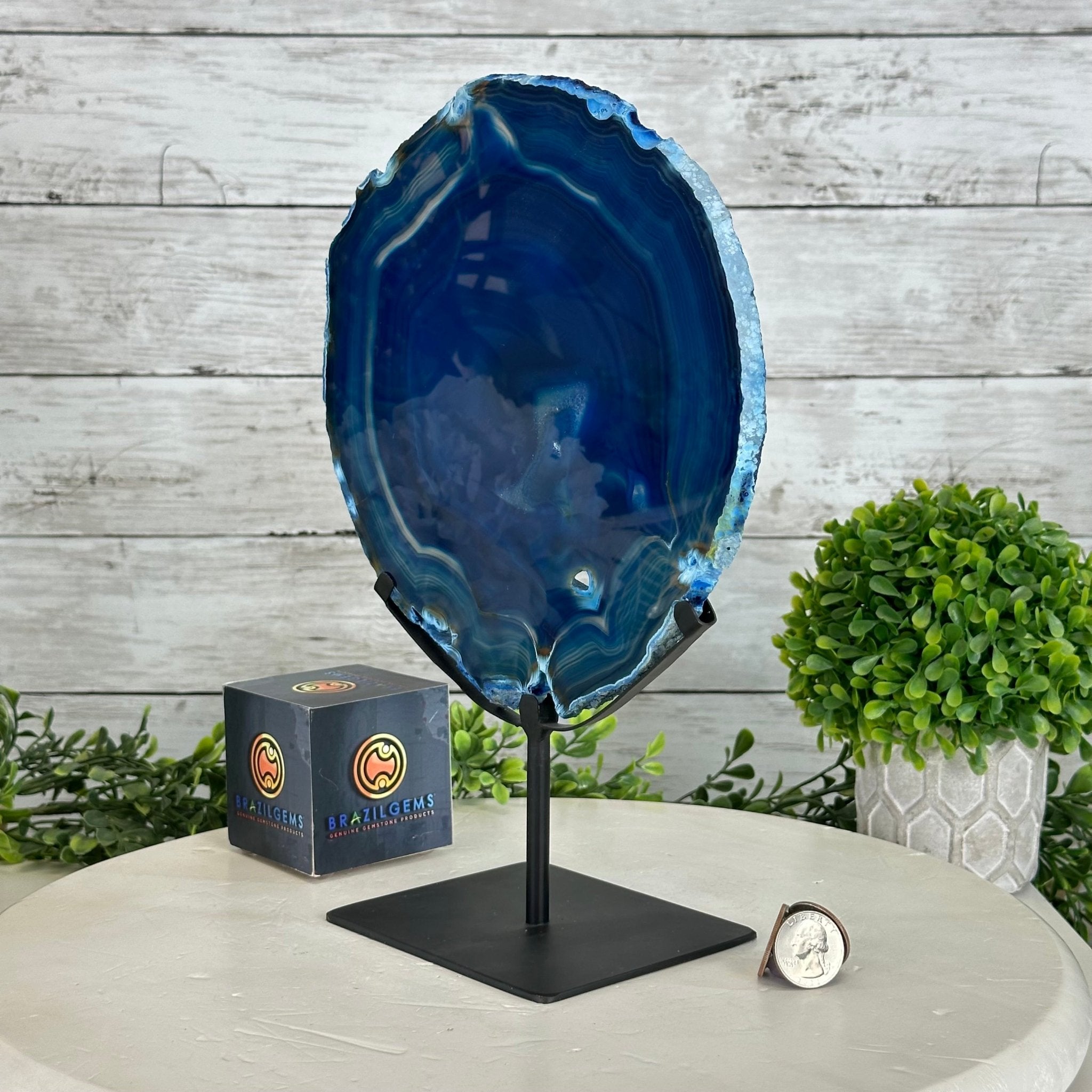 Brazilian Blue Agate Slice on a Metal Stand, 11.5" Tall #5055-0134 - Brazil GemsBrazil GemsBrazilian Blue Agate Slice on a Metal Stand, 11.5" Tall #5055-0134Slices on Fixed Bases5055-0134