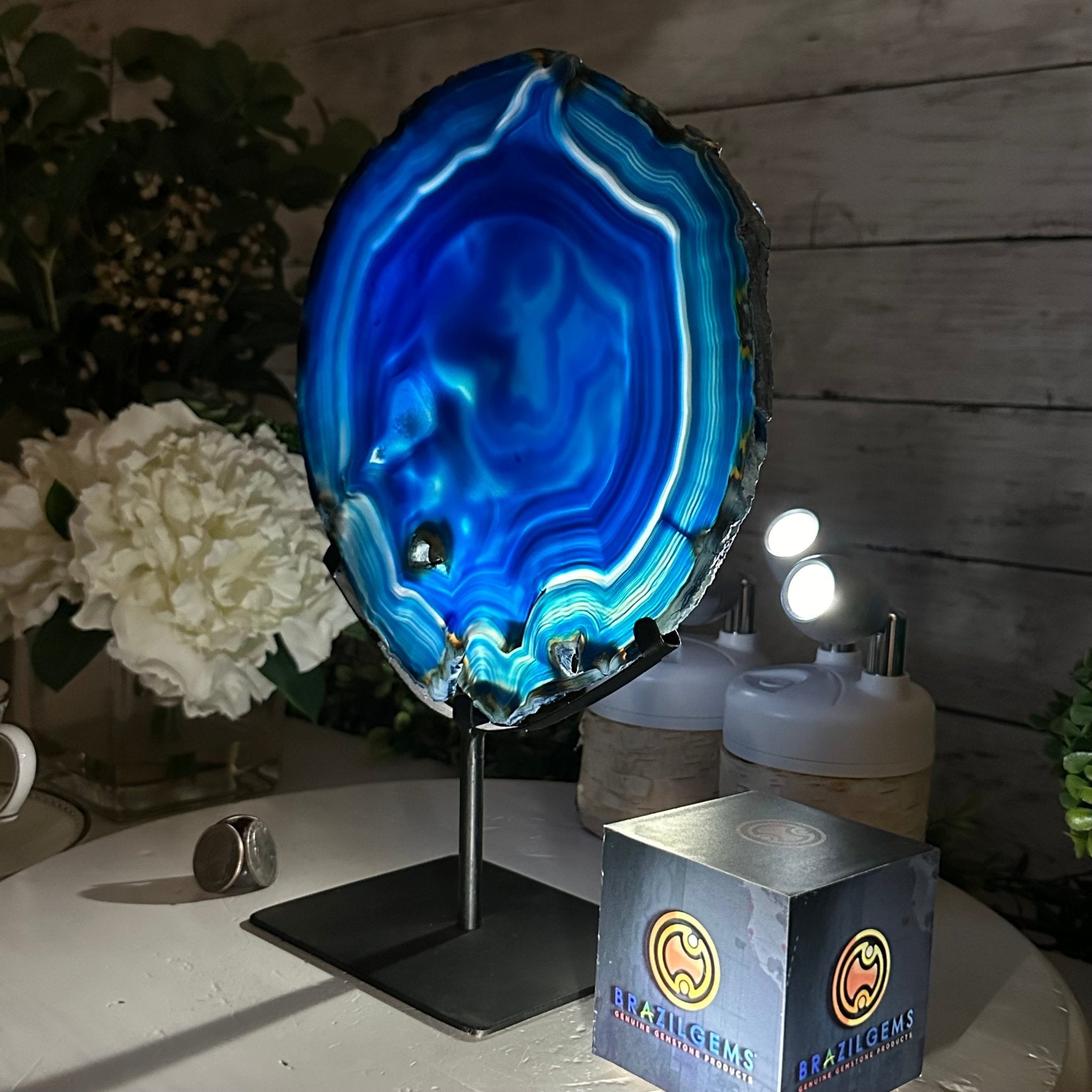 Brazilian Blue Agate Slice on a Metal Stand, 11.5" Tall #5055-0134 - Brazil GemsBrazil GemsBrazilian Blue Agate Slice on a Metal Stand, 11.5" Tall #5055-0134Slices on Fixed Bases5055-0134