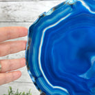 Brazilian Blue Agate Slice on a Metal Stand, 11.5" Tall #5055-0134 - Brazil GemsBrazil GemsBrazilian Blue Agate Slice on a Metal Stand, 11.5" Tall #5055-0134Slices on Fixed Bases5055-0134