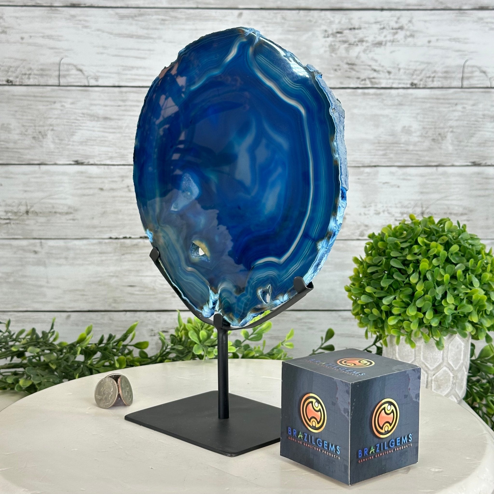 Brazilian Blue Agate Slice on a Metal Stand, 11.5" Tall #5055-0134 - Brazil GemsBrazil GemsBrazilian Blue Agate Slice on a Metal Stand, 11.5" Tall #5055-0134Slices on Fixed Bases5055-0134
