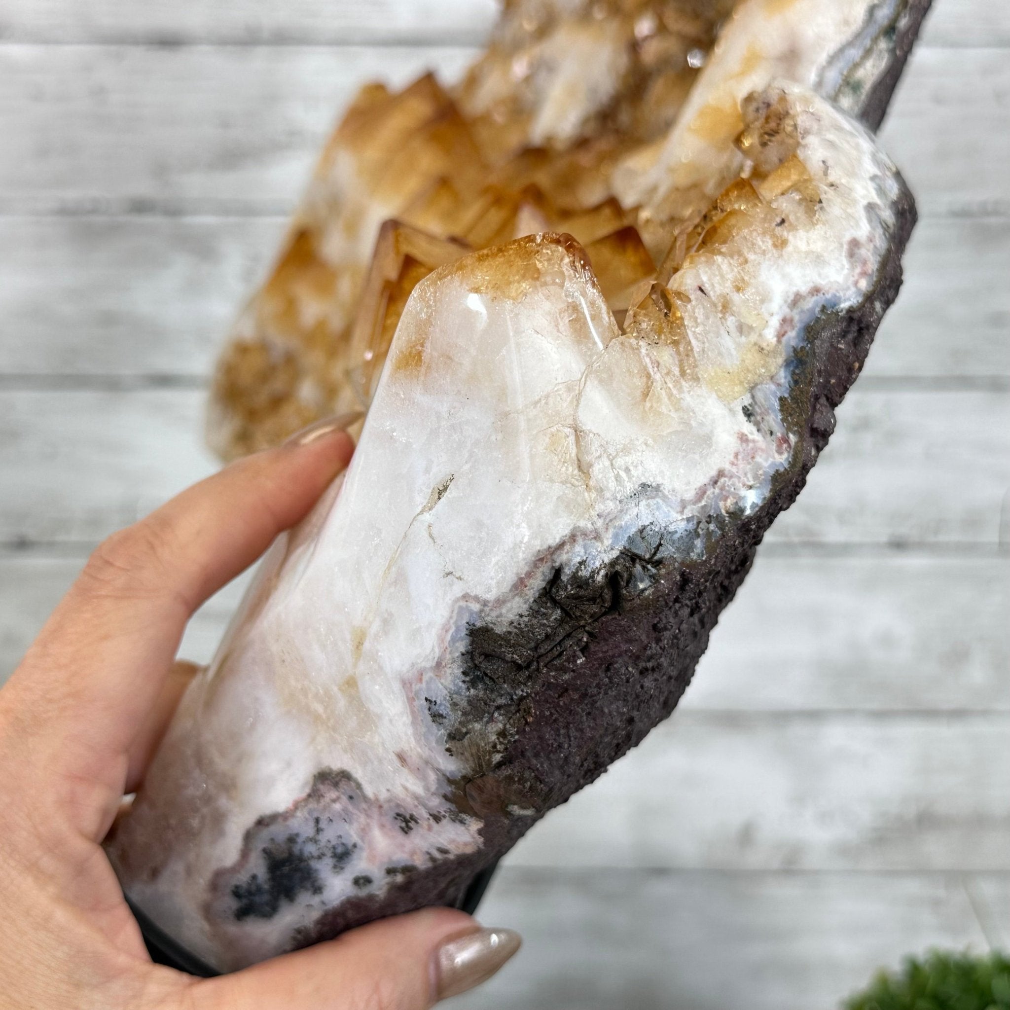 Brazilian Citrine Cluster on a Metal Stand, 37.5 lbs & 20.8" Tall #5496 - 0061 - Brazil GemsBrazil GemsBrazilian Citrine Cluster on a Metal Stand, 37.5 lbs & 20.8" Tall #5496 - 0061Clusters on Fixed Bases5496 - 0061