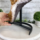 Brazilian Citrine Cluster on a Metal Stand, 37.5 lbs & 20.8" Tall #5496 - 0061 - Brazil GemsBrazil GemsBrazilian Citrine Cluster on a Metal Stand, 37.5 lbs & 20.8" Tall #5496 - 0061Clusters on Fixed Bases5496 - 0061