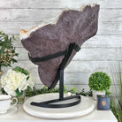 Brazilian Citrine Cluster on a Metal Stand, 37.5 lbs & 20.8" Tall #5496 - 0061 - Brazil GemsBrazil GemsBrazilian Citrine Cluster on a Metal Stand, 37.5 lbs & 20.8" Tall #5496 - 0061Clusters on Fixed Bases5496 - 0061