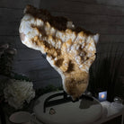 Brazilian Citrine Cluster on a Metal Stand, 37.5 lbs & 20.8" Tall #5496 - 0061 - Brazil GemsBrazil GemsBrazilian Citrine Cluster on a Metal Stand, 37.5 lbs & 20.8" Tall #5496 - 0061Clusters on Fixed Bases5496 - 0061