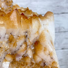 Brazilian Citrine Cluster on a Metal Stand, 37.5 lbs & 20.8" Tall #5496 - 0061 - Brazil GemsBrazil GemsBrazilian Citrine Cluster on a Metal Stand, 37.5 lbs & 20.8" Tall #5496 - 0061Clusters on Fixed Bases5496 - 0061