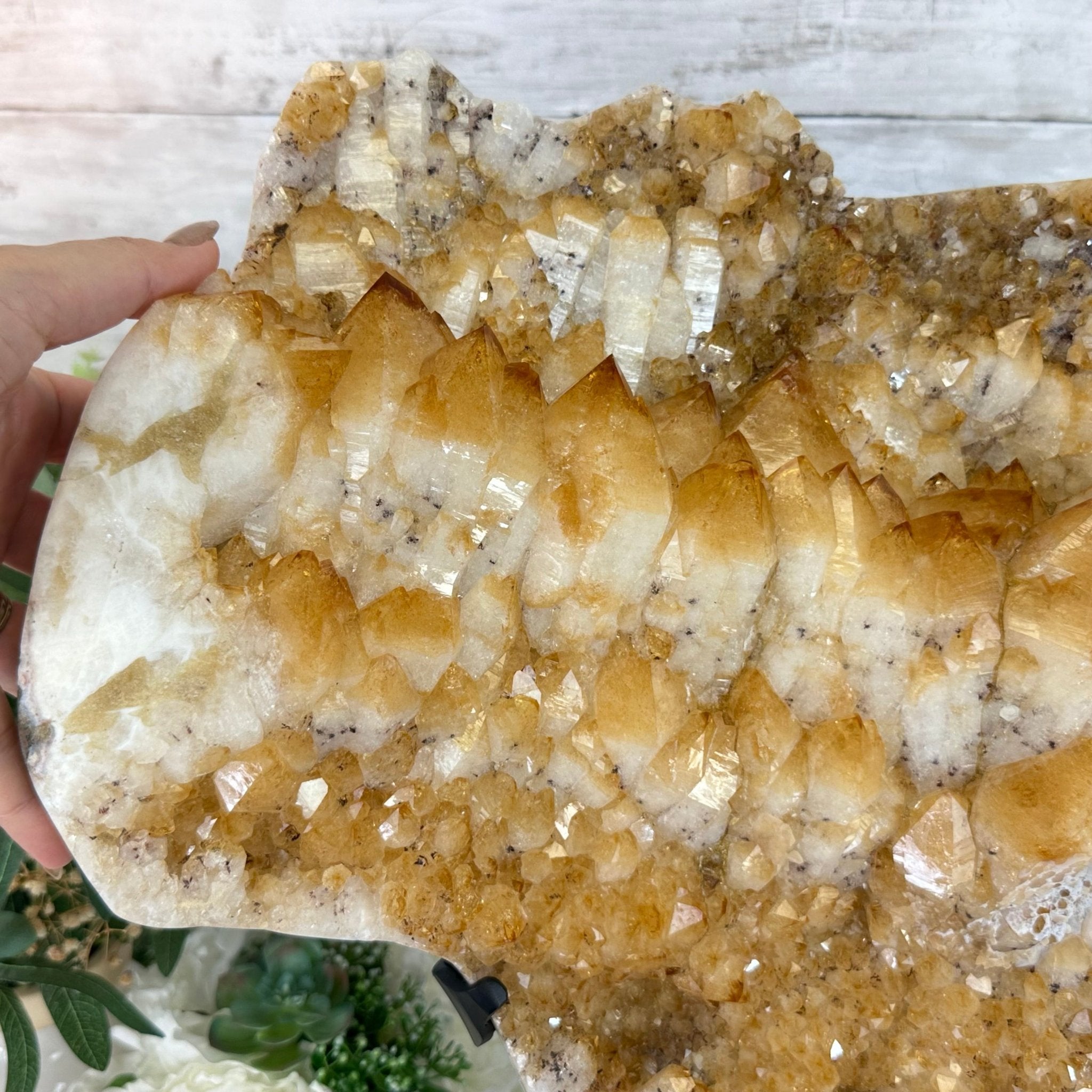 Brazilian Citrine Cluster on a Metal Stand, 37.5 lbs & 20.8" Tall #5496 - 0061 - Brazil GemsBrazil GemsBrazilian Citrine Cluster on a Metal Stand, 37.5 lbs & 20.8" Tall #5496 - 0061Clusters on Fixed Bases5496 - 0061