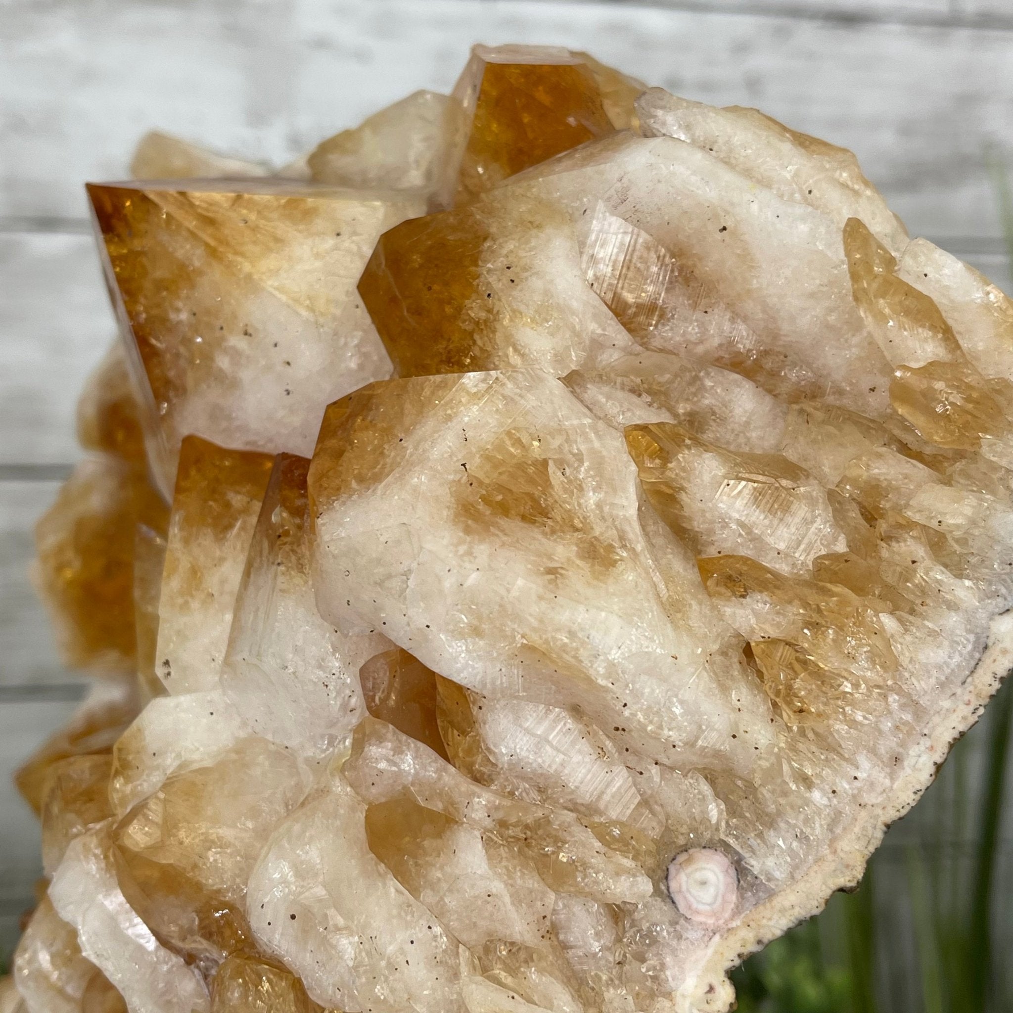 Brazilian Citrine Crystal Cluster, metal base, 14.1 lbs & 12.5" Tall Model #5496-0038 by Brazil Gems - Brazil GemsBrazil GemsBrazilian Citrine Crystal Cluster, metal base, 14.1 lbs & 12.5" Tall Model #5496-0038 by Brazil GemsClusters on Fixed Bases5496-0038