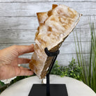Brazilian Citrine Crystal Cluster, metal base, 14.1 lbs & 12.5" Tall Model #5496-0038 by Brazil Gems - Brazil GemsBrazil GemsBrazilian Citrine Crystal Cluster, metal base, 14.1 lbs & 12.5" Tall Model #5496-0038 by Brazil GemsClusters on Fixed Bases5496-0038