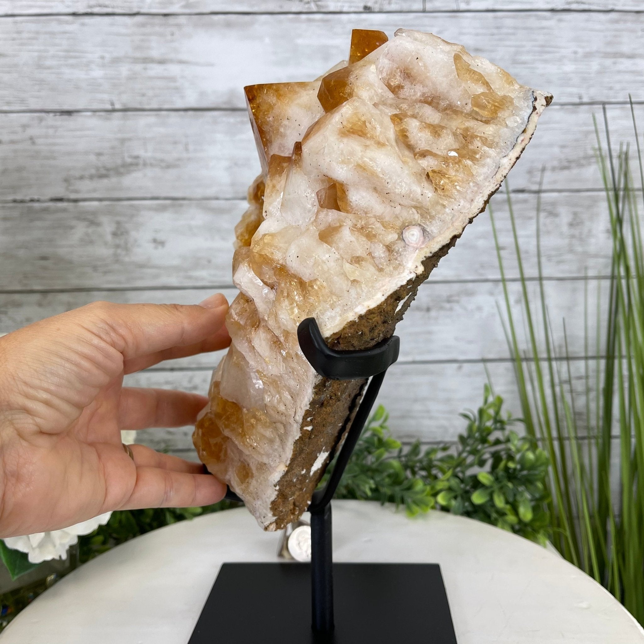 Brazilian Citrine Crystal Cluster, metal base, 14.1 lbs & 12.5" Tall Model #5496-0038 by Brazil Gems - Brazil GemsBrazil GemsBrazilian Citrine Crystal Cluster, metal base, 14.1 lbs & 12.5" Tall Model #5496-0038 by Brazil GemsClusters on Fixed Bases5496-0038
