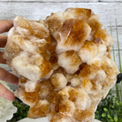 Brazilian Citrine Crystal Cluster, metal base, 14.1 lbs & 12.5" Tall Model #5496-0038 by Brazil Gems - Brazil GemsBrazil GemsBrazilian Citrine Crystal Cluster, metal base, 14.1 lbs & 12.5" Tall Model #5496-0038 by Brazil GemsClusters on Fixed Bases5496-0038