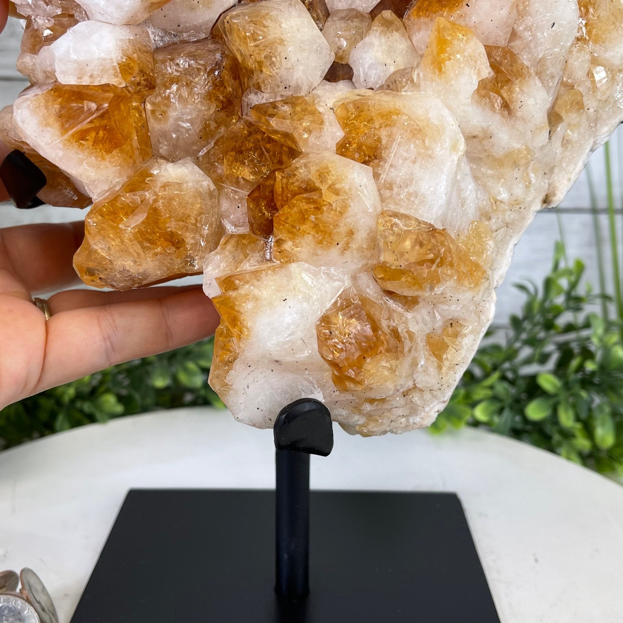 Brazilian Citrine Crystal Cluster, metal base, 14.1 lbs & 12.5" Tall Model #5496-0038 by Brazil Gems - Brazil GemsBrazil GemsBrazilian Citrine Crystal Cluster, metal base, 14.1 lbs & 12.5" Tall Model #5496-0038 by Brazil GemsClusters on Fixed Bases5496-0038