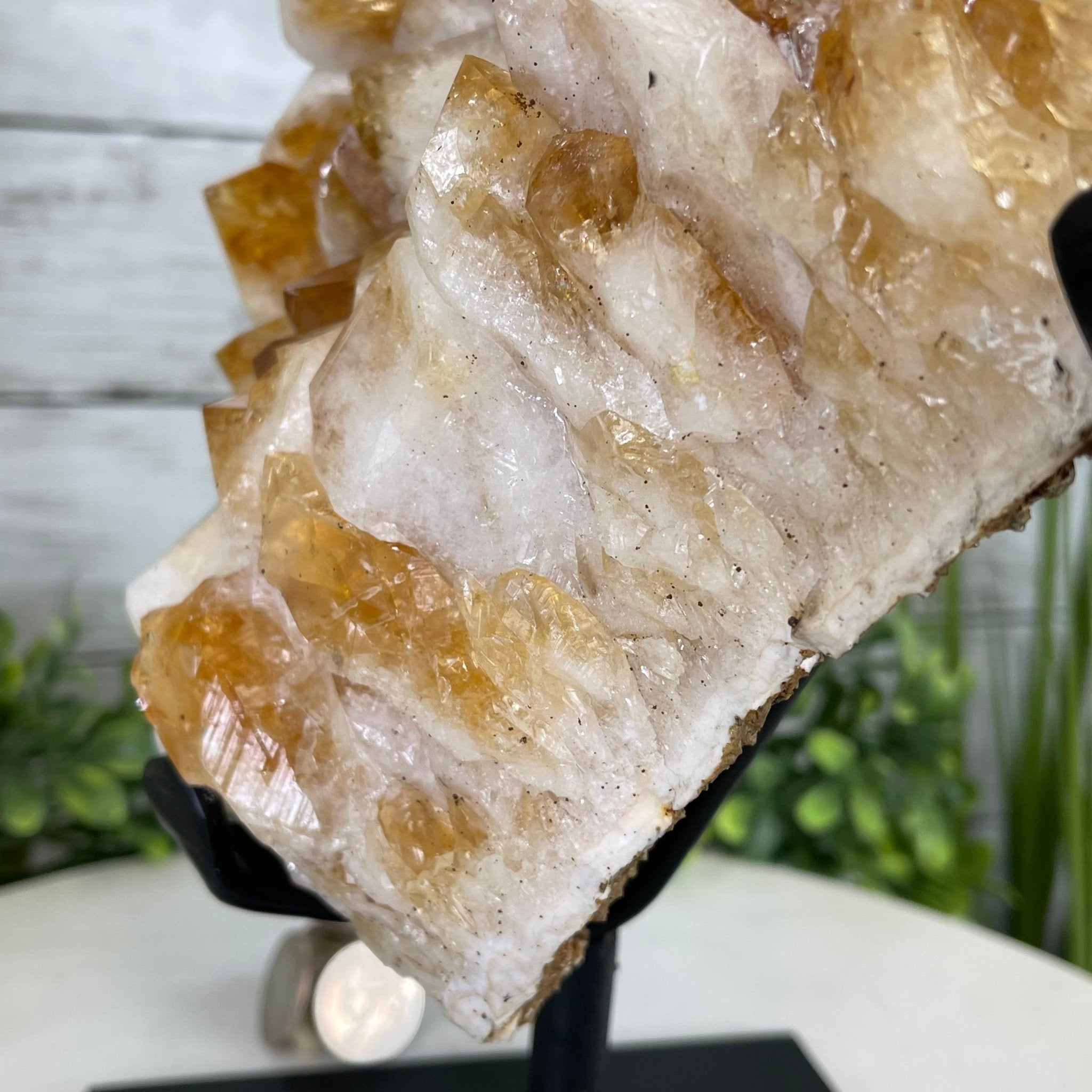 Brazilian Citrine Crystal Cluster, metal base, 14.1 lbs & 12.5" Tall Model #5496-0038 by Brazil Gems - Brazil GemsBrazil GemsBrazilian Citrine Crystal Cluster, metal base, 14.1 lbs & 12.5" Tall Model #5496-0038 by Brazil GemsClusters on Fixed Bases5496-0038