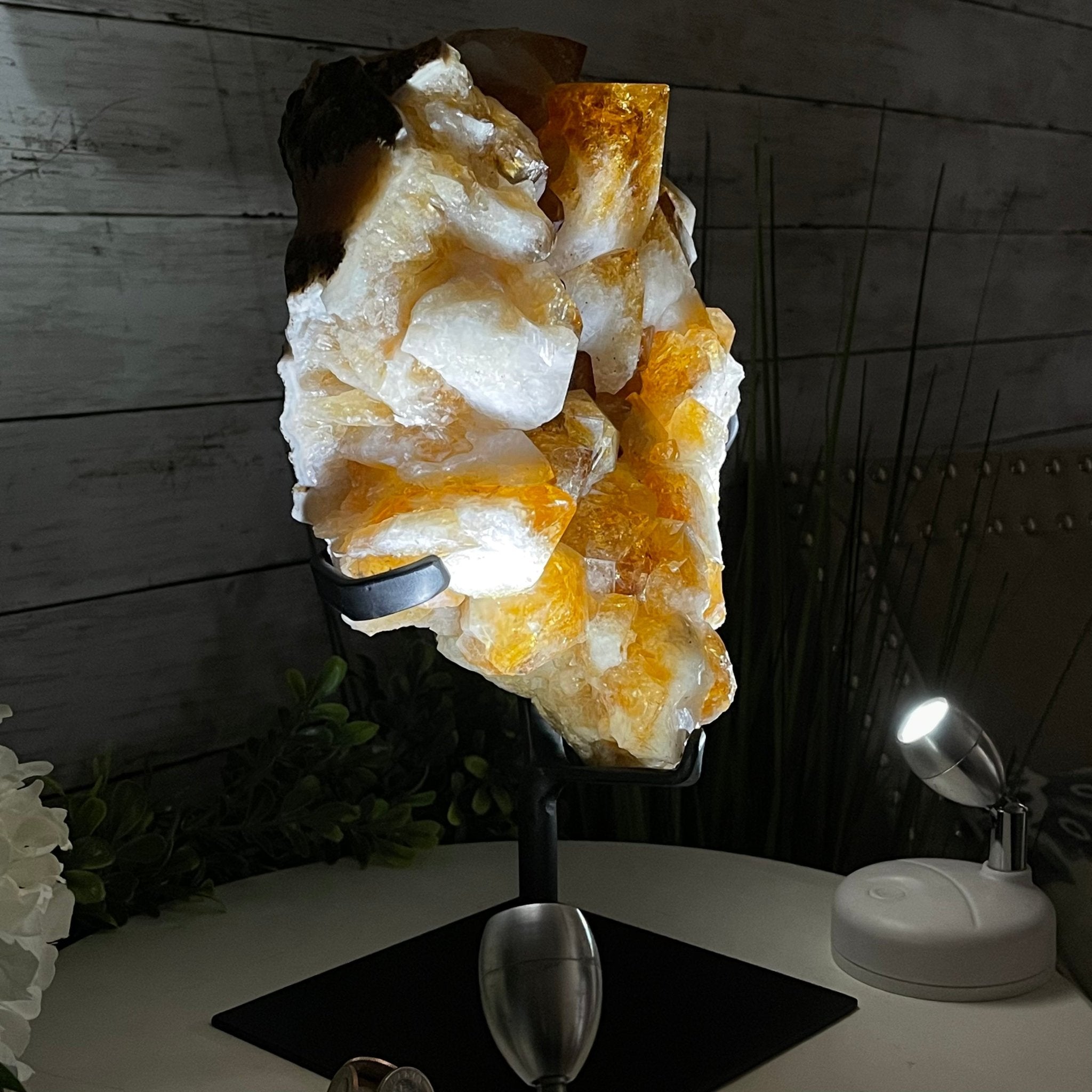 Brazilian Citrine Crystal Cluster, metal base, 14.1 lbs & 12.5" Tall Model #5496-0038 by Brazil Gems - Brazil GemsBrazil GemsBrazilian Citrine Crystal Cluster, metal base, 14.1 lbs & 12.5" Tall Model #5496-0038 by Brazil GemsClusters on Fixed Bases5496-0038