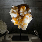 Brazilian Citrine Crystal Cluster, metal base, 14.1 lbs & 12.5" Tall Model #5496-0038 by Brazil Gems - Brazil GemsBrazil GemsBrazilian Citrine Crystal Cluster, metal base, 14.1 lbs & 12.5" Tall Model #5496-0038 by Brazil GemsClusters on Fixed Bases5496-0038