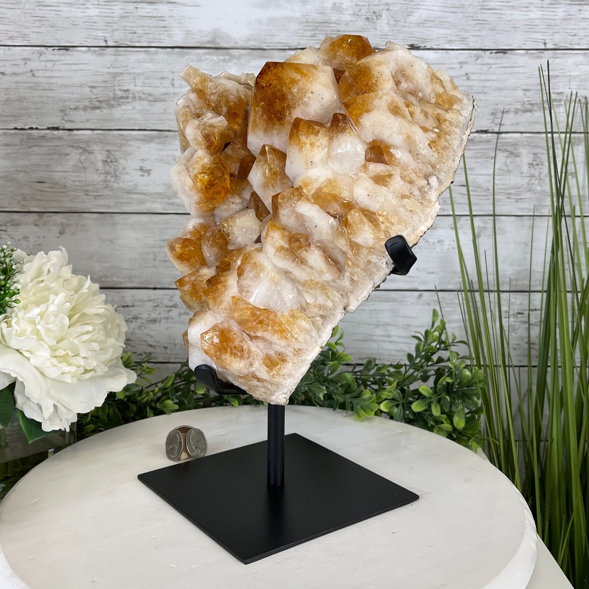 Brazilian Citrine Crystal Cluster, metal base, 14.1 lbs & 12.5" Tall Model #5496-0038 by Brazil Gems - Brazil GemsBrazil GemsBrazilian Citrine Crystal Cluster, metal base, 14.1 lbs & 12.5" Tall Model #5496-0038 by Brazil GemsClusters on Fixed Bases5496-0038
