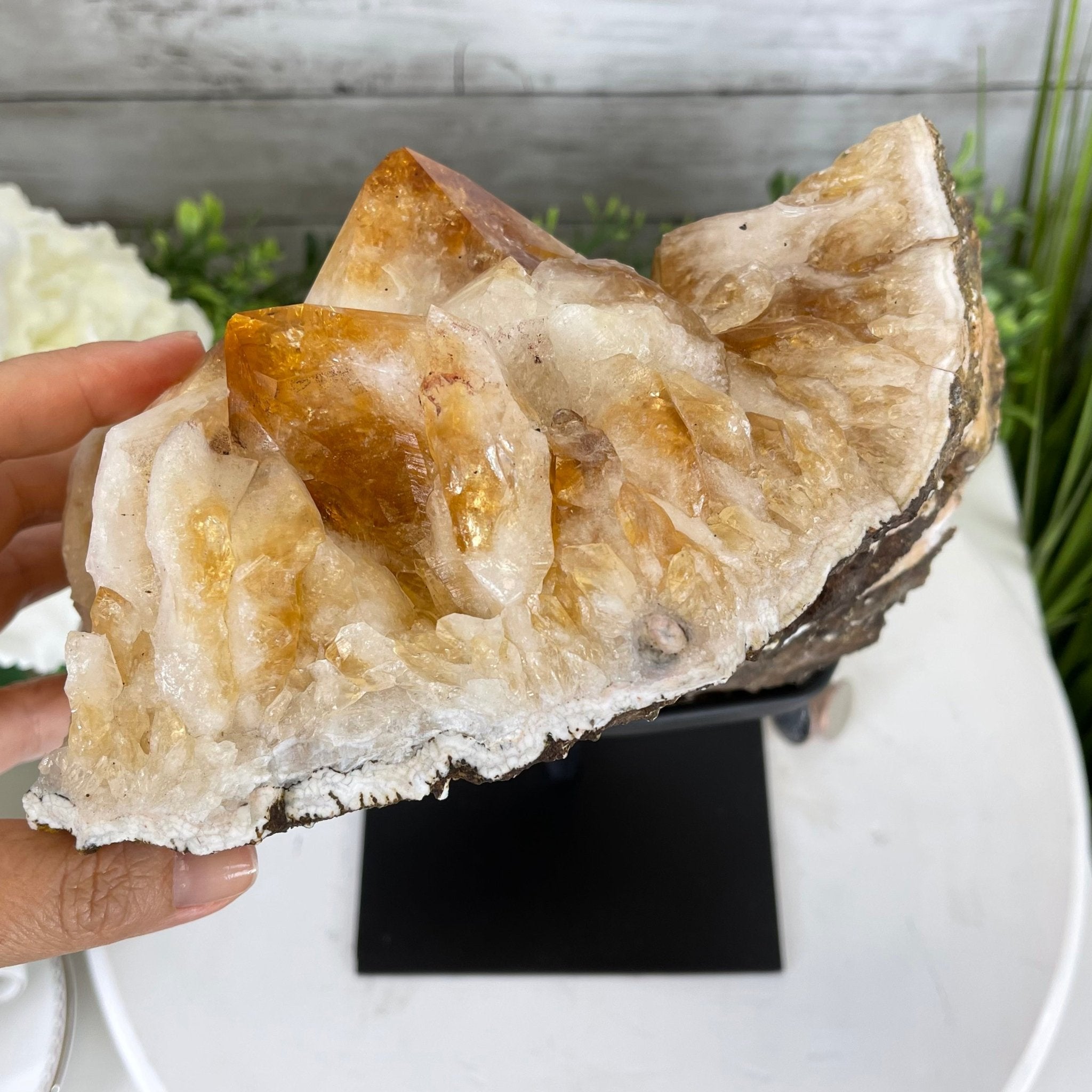 Brazilian Citrine Crystal Cluster, metal base, 14.1 lbs & 12.5" Tall Model #5496-0038 by Brazil Gems - Brazil GemsBrazil GemsBrazilian Citrine Crystal Cluster, metal base, 14.1 lbs & 12.5" Tall Model #5496-0038 by Brazil GemsClusters on Fixed Bases5496-0038