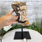 Brazilian Citrine Crystal Cluster, metal base, 14.1 lbs & 12.5" Tall Model #5496-0038 by Brazil Gems - Brazil GemsBrazil GemsBrazilian Citrine Crystal Cluster, metal base, 14.1 lbs & 12.5" Tall Model #5496-0038 by Brazil GemsClusters on Fixed Bases5496-0038