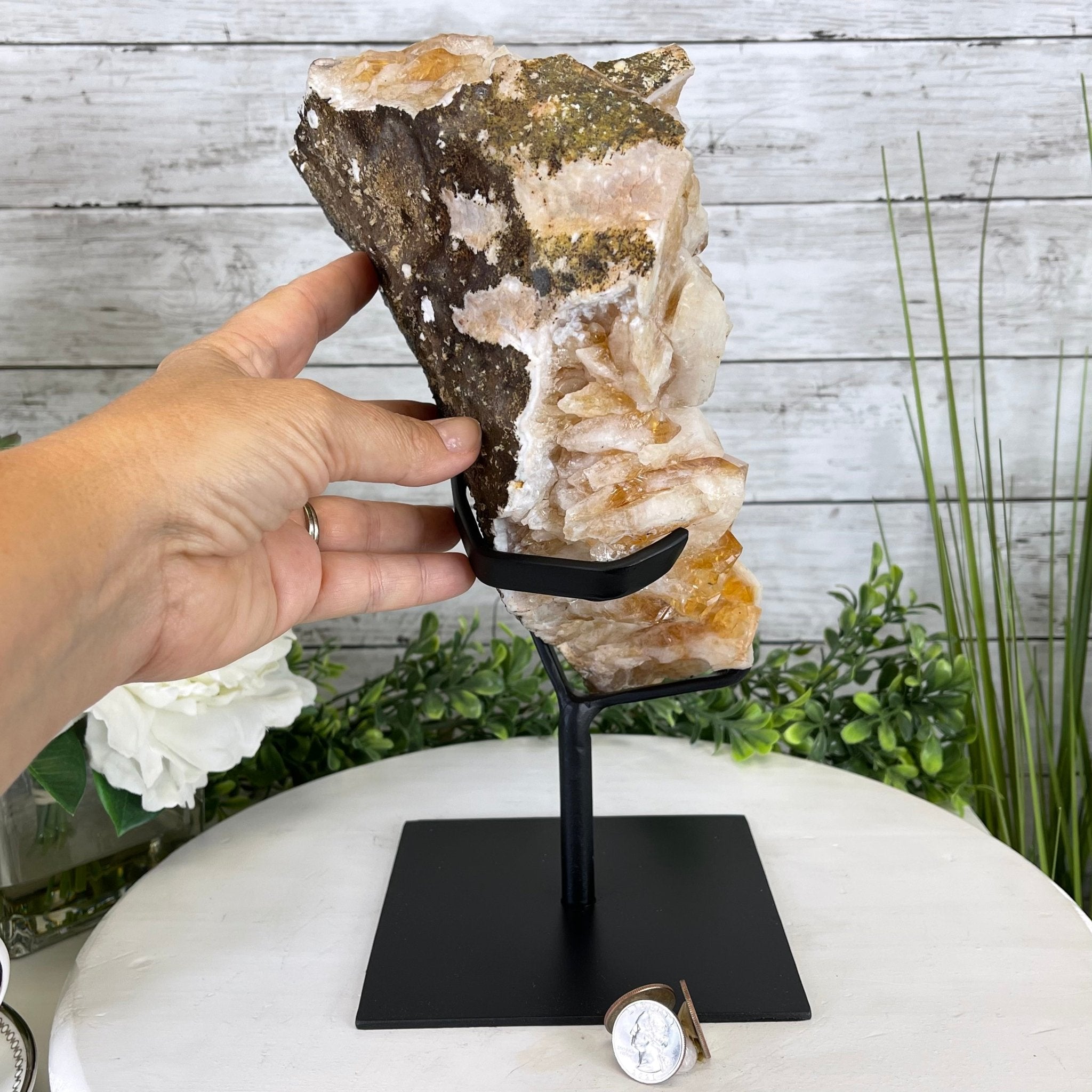 Brazilian Citrine Crystal Cluster, metal base, 14.1 lbs & 12.5" Tall Model #5496-0038 by Brazil Gems - Brazil GemsBrazil GemsBrazilian Citrine Crystal Cluster, metal base, 14.1 lbs & 12.5" Tall Model #5496-0038 by Brazil GemsClusters on Fixed Bases5496-0038