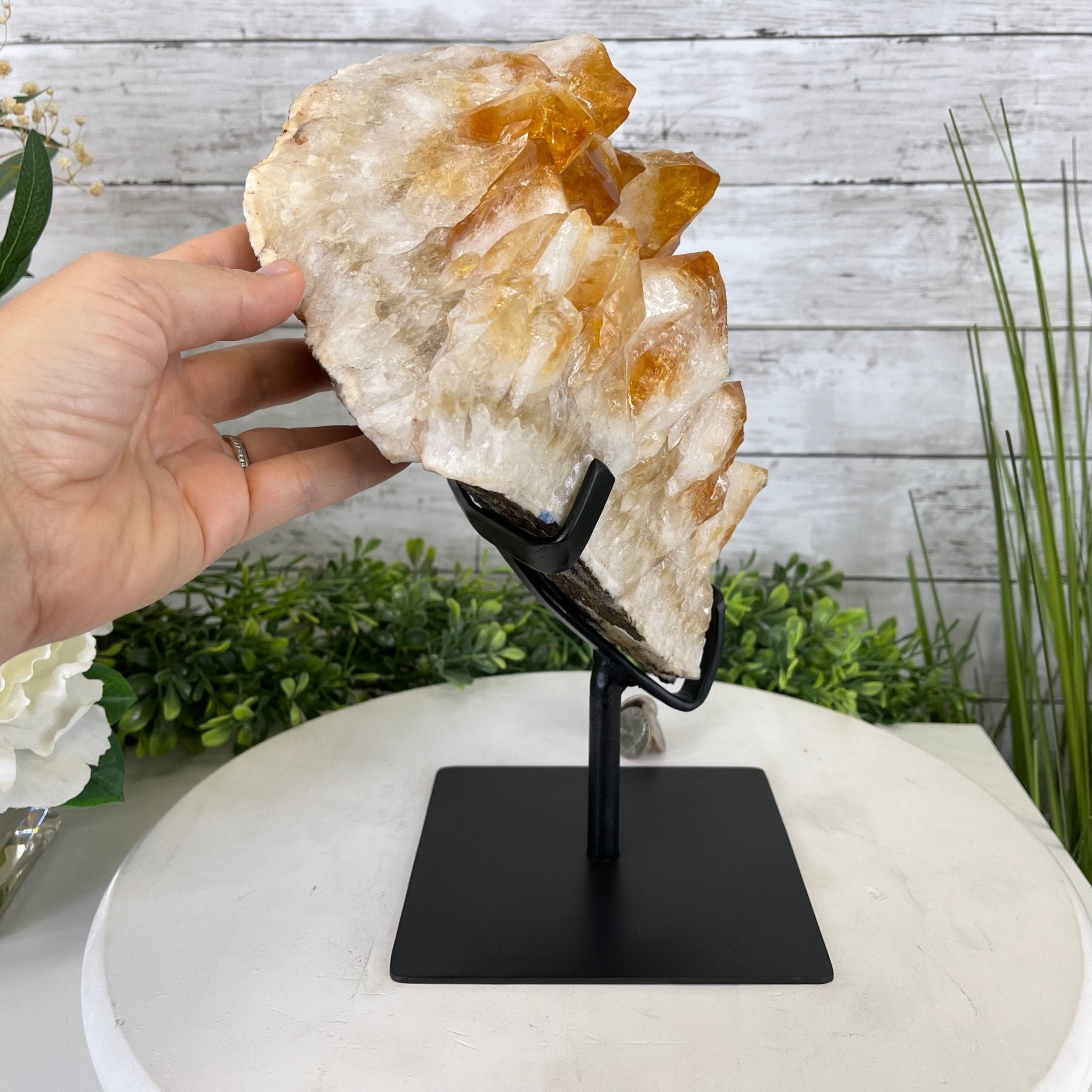 Brazilian Citrine Crystal Cluster, metal base, 14.6 lbs & 11.5" Tall Model #5496-0039 by Brazil Gems - Brazil GemsBrazil GemsBrazilian Citrine Crystal Cluster, metal base, 14.6 lbs & 11.5" Tall Model #5496-0039 by Brazil GemsClusters on Fixed Bases5496-0039
