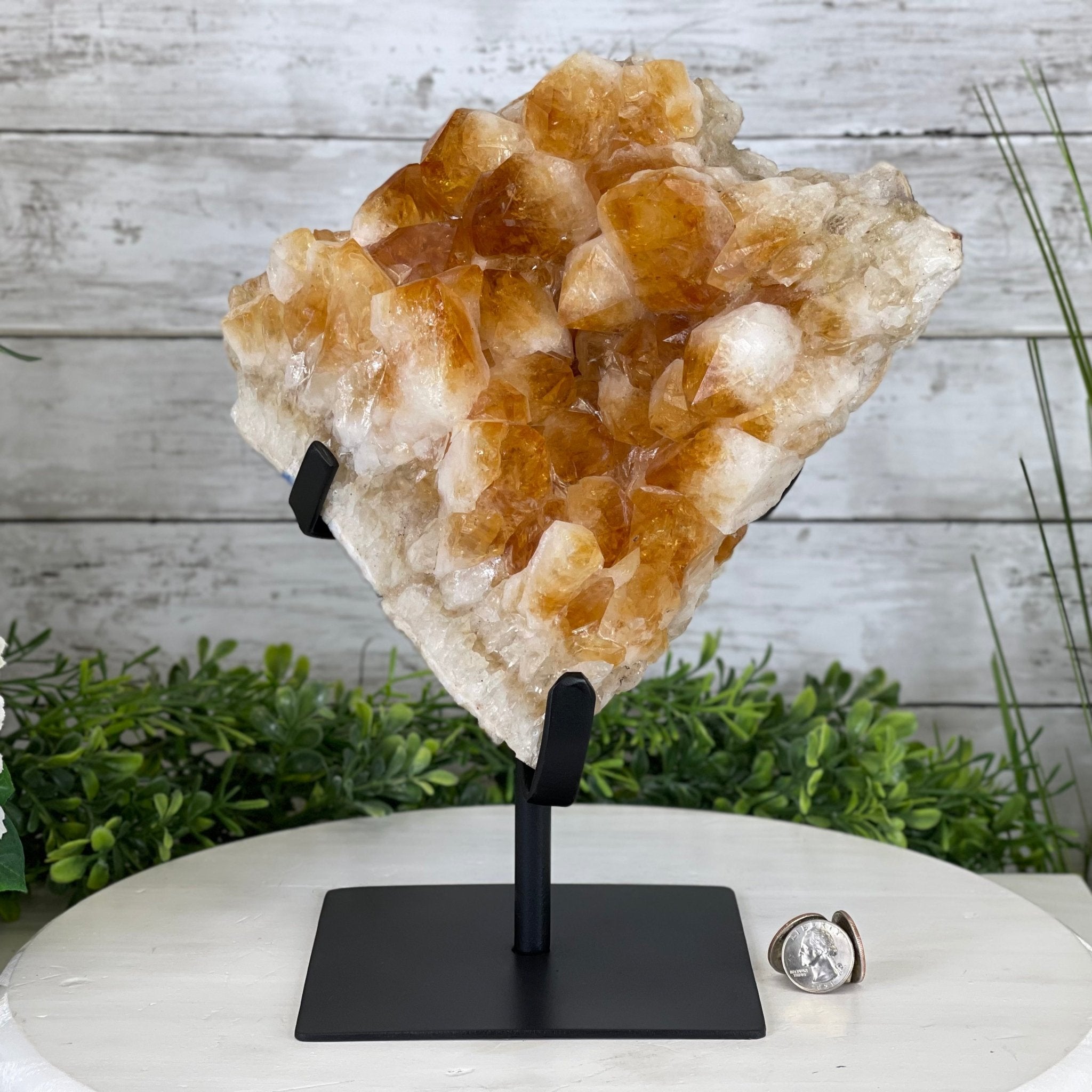Brazilian Citrine Crystal Cluster, metal base, 14.6 lbs & 11.5" Tall Model #5496-0039 by Brazil Gems - Brazil GemsBrazil GemsBrazilian Citrine Crystal Cluster, metal base, 14.6 lbs & 11.5" Tall Model #5496-0039 by Brazil GemsClusters on Fixed Bases5496-0039