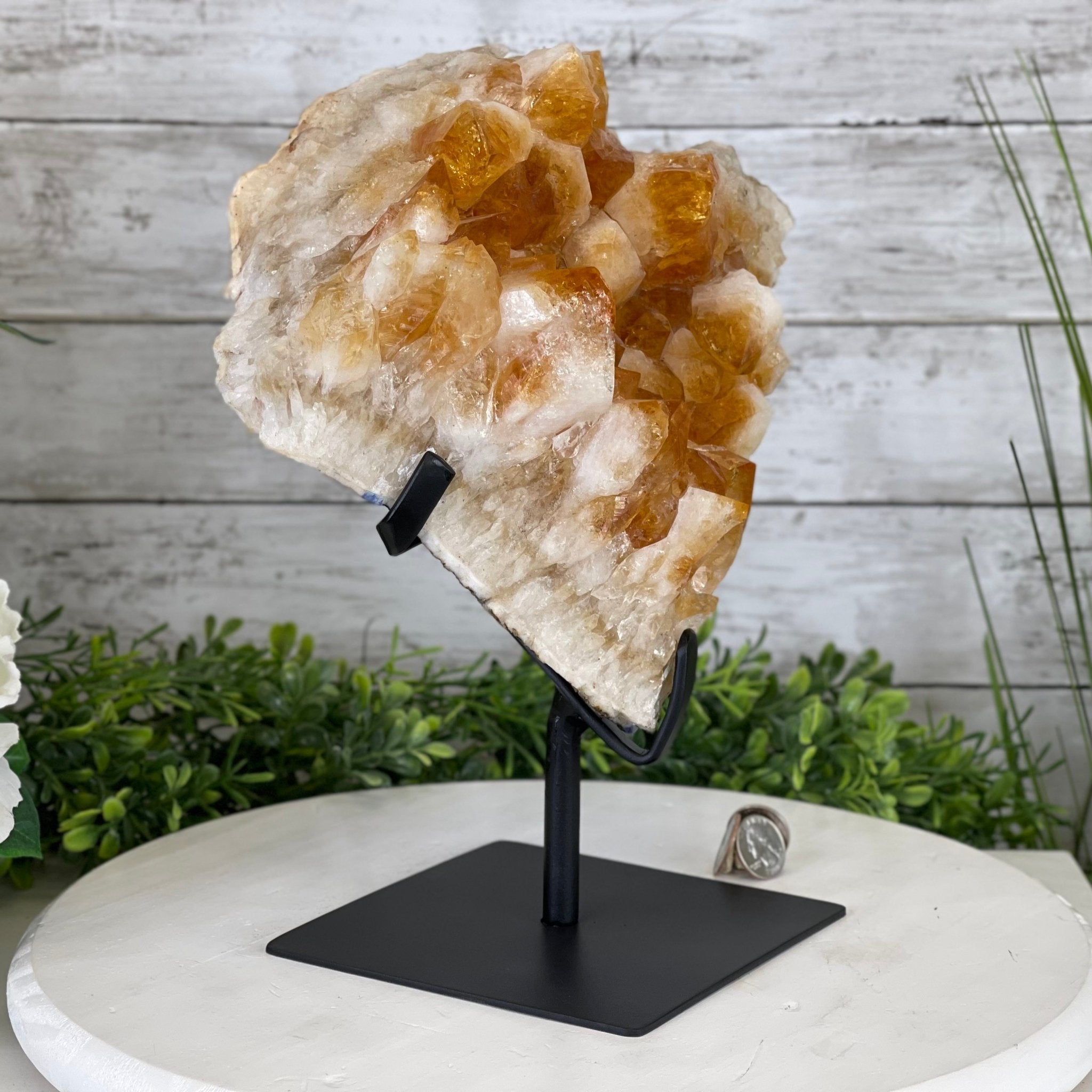 Brazilian Citrine Crystal Cluster, metal base, 14.6 lbs & 11.5" Tall Model #5496-0039 by Brazil Gems - Brazil GemsBrazil GemsBrazilian Citrine Crystal Cluster, metal base, 14.6 lbs & 11.5" Tall Model #5496-0039 by Brazil GemsClusters on Fixed Bases5496-0039
