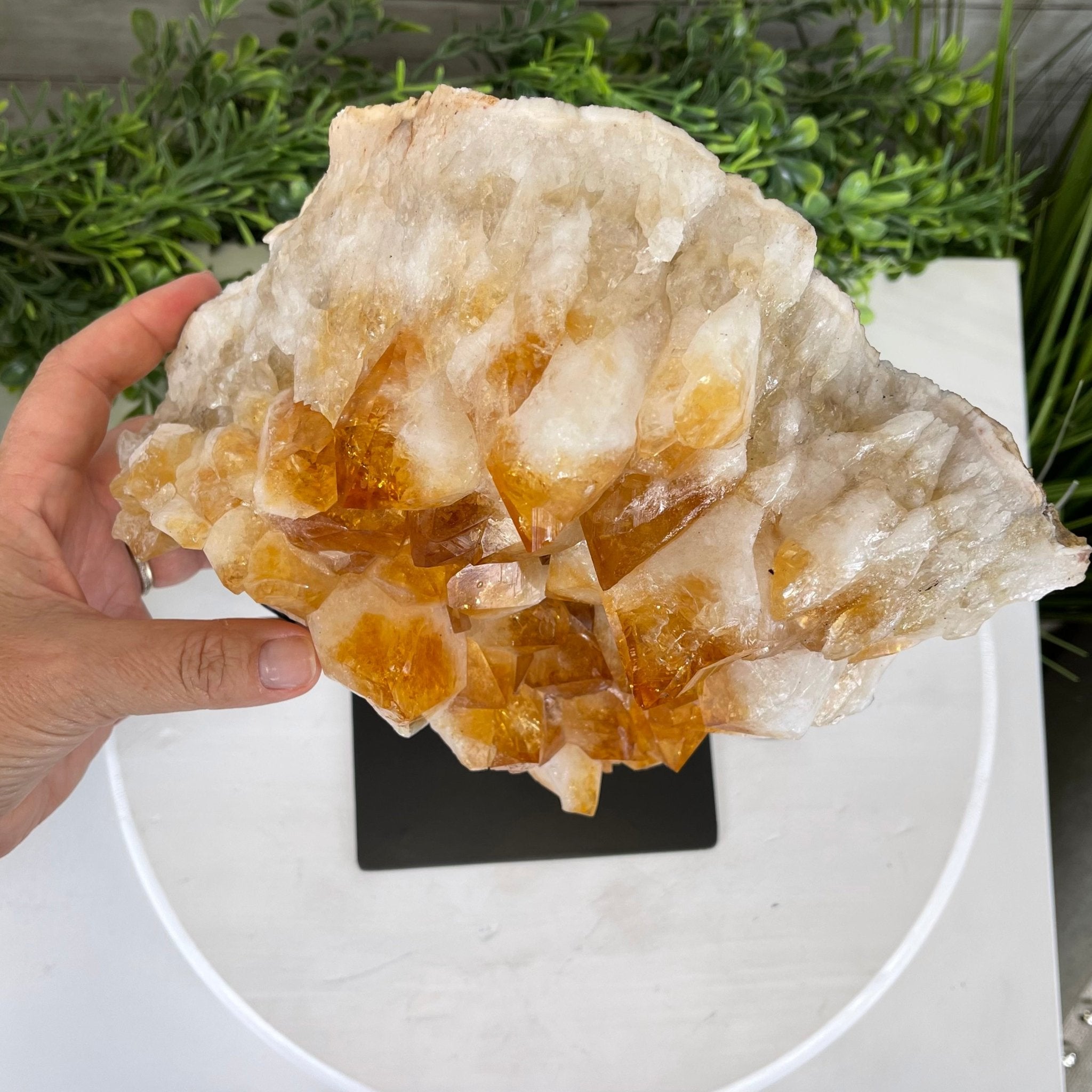 Brazilian Citrine Crystal Cluster, metal base, 14.6 lbs & 11.5" Tall Model #5496-0039 by Brazil Gems - Brazil GemsBrazil GemsBrazilian Citrine Crystal Cluster, metal base, 14.6 lbs & 11.5" Tall Model #5496-0039 by Brazil GemsClusters on Fixed Bases5496-0039