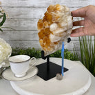 Brazilian Citrine Crystal Cluster, metal base, 14.6 lbs & 11.5" Tall Model #5496-0039 by Brazil Gems - Brazil GemsBrazil GemsBrazilian Citrine Crystal Cluster, metal base, 14.6 lbs & 11.5" Tall Model #5496-0039 by Brazil GemsClusters on Fixed Bases5496-0039