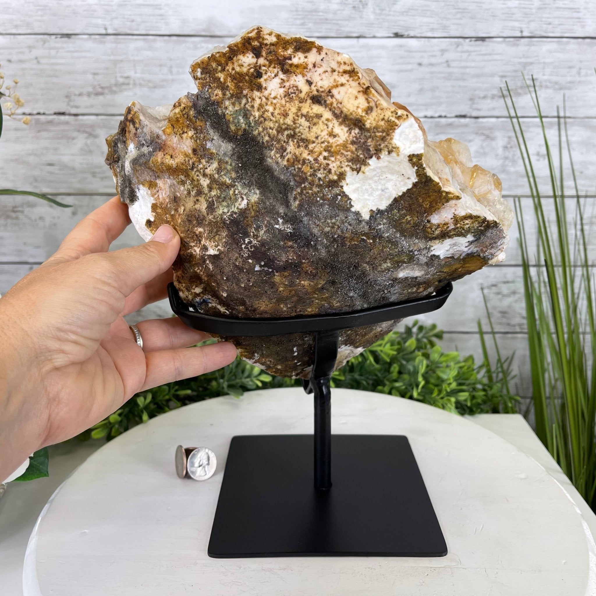 Brazilian Citrine Crystal Cluster, metal base, 14.6 lbs & 11.5" Tall Model #5496-0039 by Brazil Gems - Brazil GemsBrazil GemsBrazilian Citrine Crystal Cluster, metal base, 14.6 lbs & 11.5" Tall Model #5496-0039 by Brazil GemsClusters on Fixed Bases5496-0039