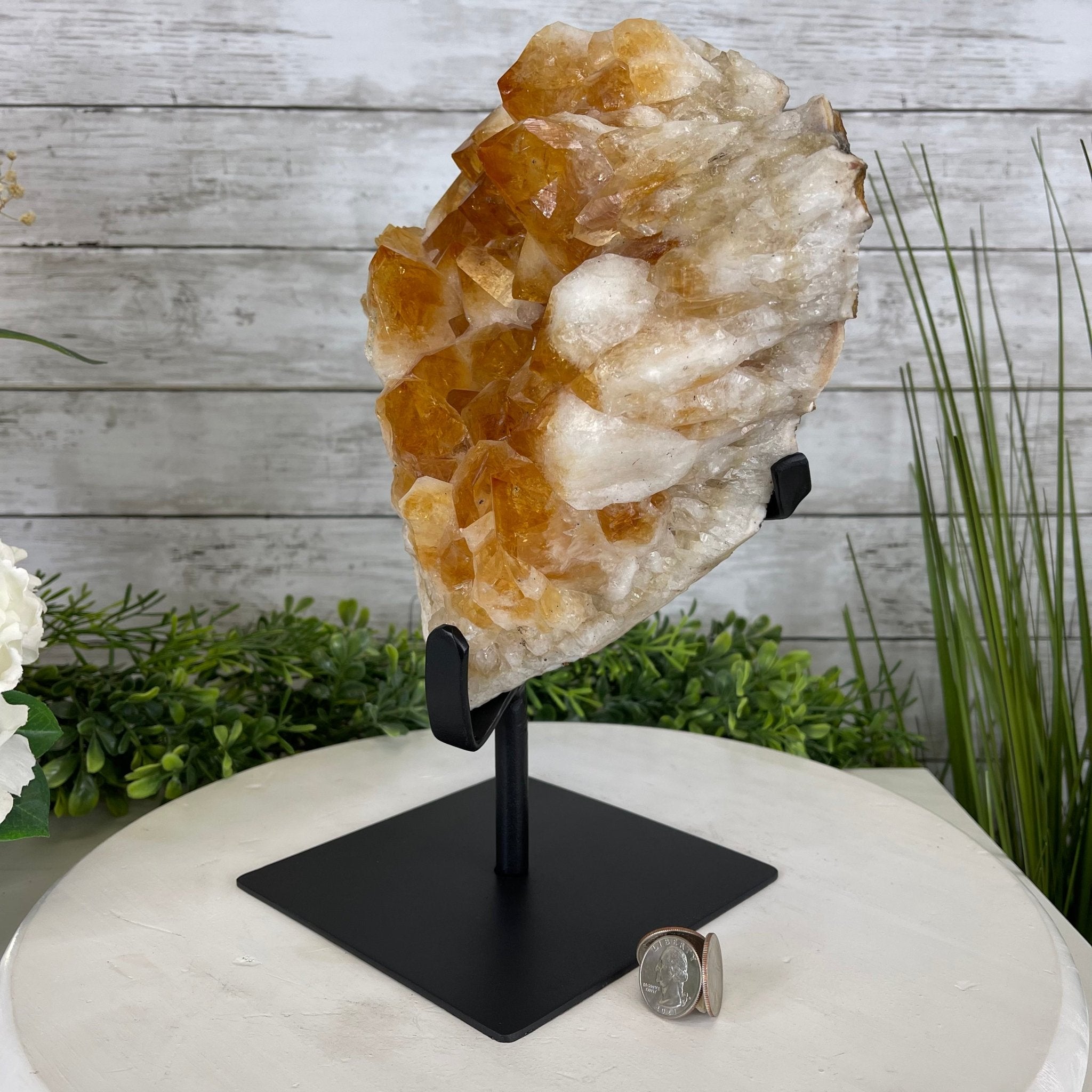 Brazilian Citrine Crystal Cluster, metal base, 14.6 lbs & 11.5" Tall Model #5496-0039 by Brazil Gems - Brazil GemsBrazil GemsBrazilian Citrine Crystal Cluster, metal base, 14.6 lbs & 11.5" Tall Model #5496-0039 by Brazil GemsClusters on Fixed Bases5496-0039