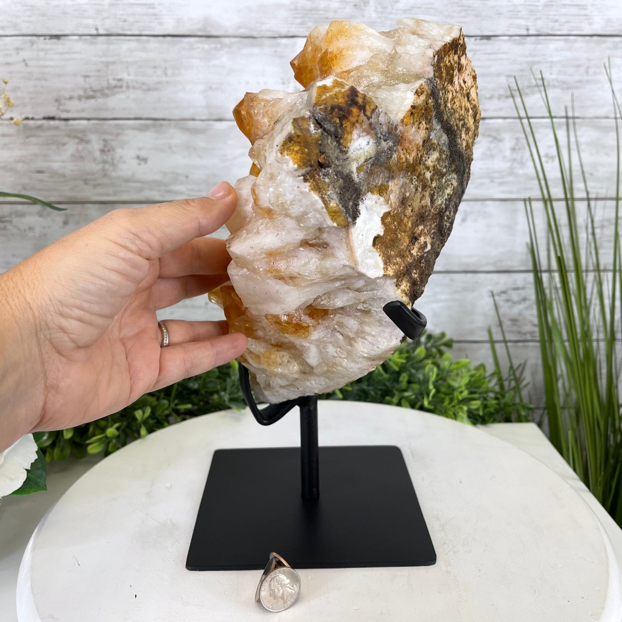 Brazilian Citrine Crystal Cluster, metal base, 14.6 lbs & 11.5" Tall Model #5496-0039 by Brazil Gems - Brazil GemsBrazil GemsBrazilian Citrine Crystal Cluster, metal base, 14.6 lbs & 11.5" Tall Model #5496-0039 by Brazil GemsClusters on Fixed Bases5496-0039