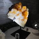 Brazilian Citrine Crystal Cluster, metal base, 14.6 lbs & 11.5" Tall Model #5496-0039 by Brazil Gems - Brazil GemsBrazil GemsBrazilian Citrine Crystal Cluster, metal base, 14.6 lbs & 11.5" Tall Model #5496-0039 by Brazil GemsClusters on Fixed Bases5496-0039