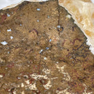 Brazilian Citrine Crystal Cluster, metal base, 17.4 lbs & 12" Tall Model #5496-0045 by Brazil Gems - Brazil GemsBrazil GemsBrazilian Citrine Crystal Cluster, metal base, 17.4 lbs & 12" Tall Model #5496-0045 by Brazil GemsClusters on Fixed Bases5496-0045