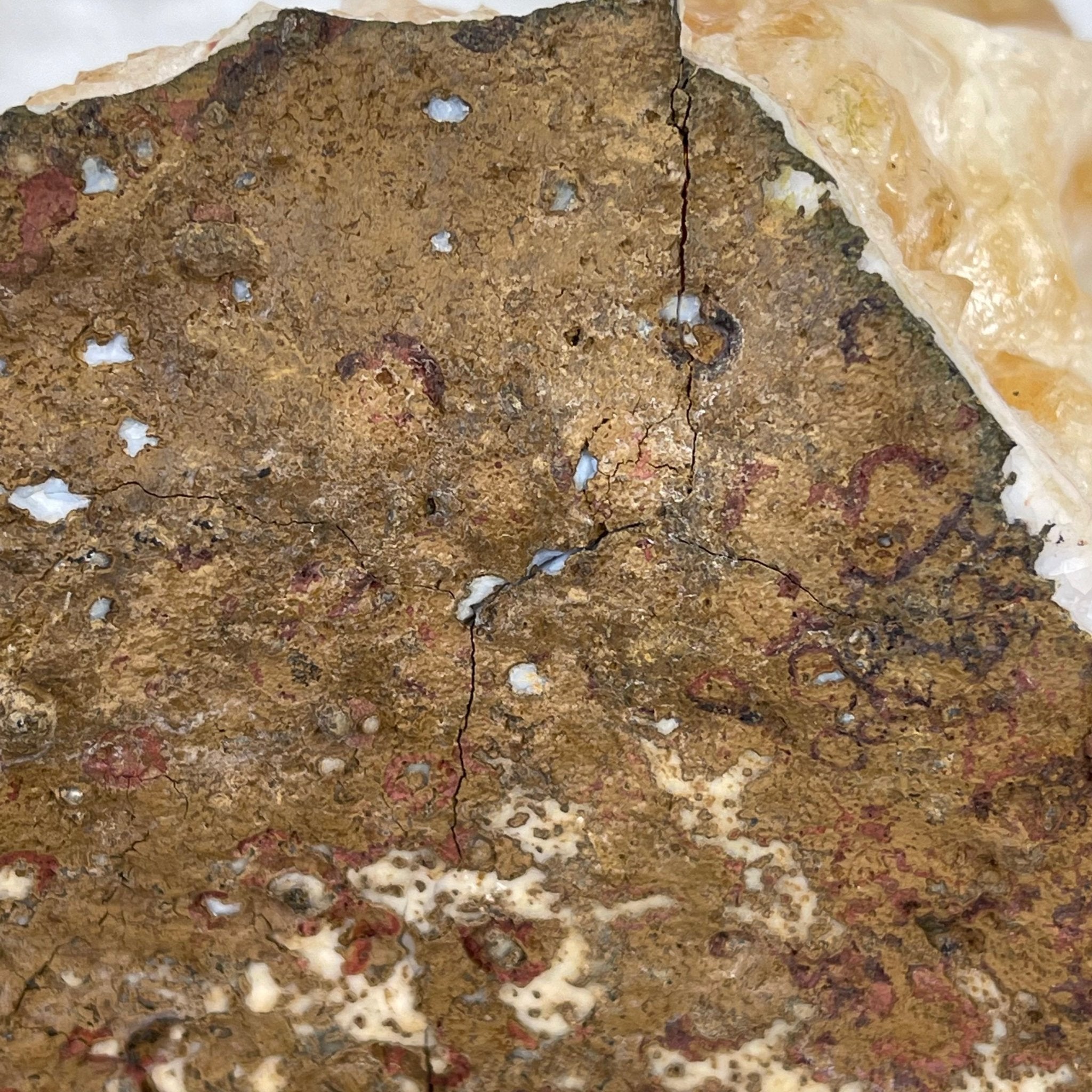 Brazilian Citrine Crystal Cluster, metal base, 17.4 lbs & 12" Tall Model #5496-0045 by Brazil Gems - Brazil GemsBrazil GemsBrazilian Citrine Crystal Cluster, metal base, 17.4 lbs & 12" Tall Model #5496-0045 by Brazil GemsClusters on Fixed Bases5496-0045