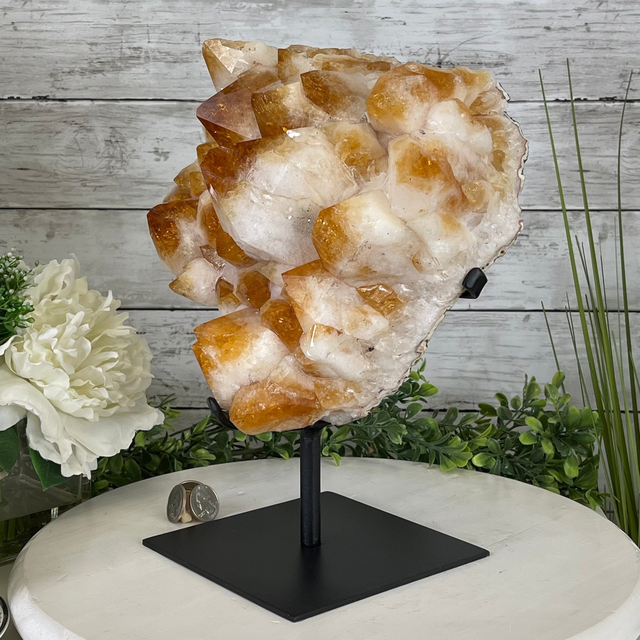 Brazilian Citrine Crystal Cluster, metal base, 17.4 lbs & 12" Tall Model #5496-0045 by Brazil Gems - Brazil GemsBrazil GemsBrazilian Citrine Crystal Cluster, metal base, 17.4 lbs & 12" Tall Model #5496-0045 by Brazil GemsClusters on Fixed Bases5496-0045